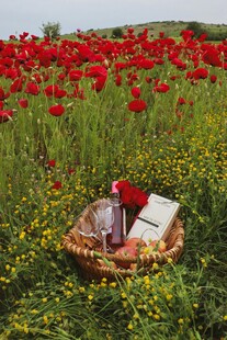 花海中的野餐篮与书籍