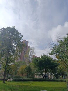 城市公园绿意盎然景致