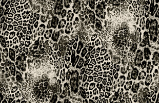 豹纹纹理图案