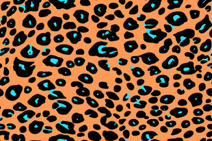 豹纹图案