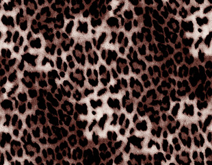 豹纹图案纹理