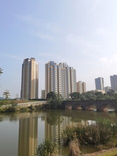 湖畔高楼林立的城市景致