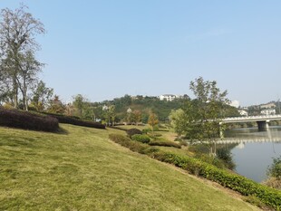 湖畔绿意盎然的美丽景致