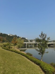 湖畔绿意盎然的美丽风光