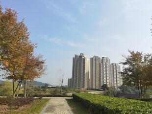 秋日城郊楼景与绿植相映