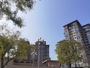 城市中林立的高层住宅楼