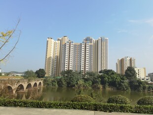河畔高楼景观