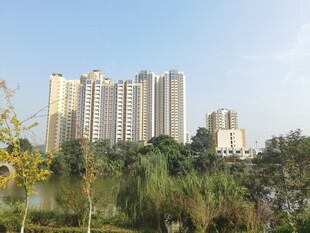 湖畔高楼林立的城市景致