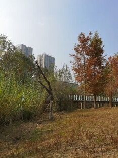 秋日城郊自然风景