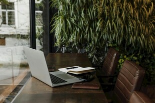 窗边绿植旁的笔记本电脑