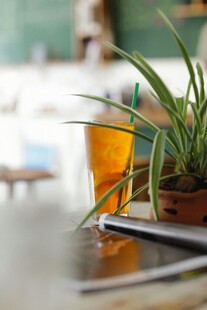 桌上绿植与电子设备