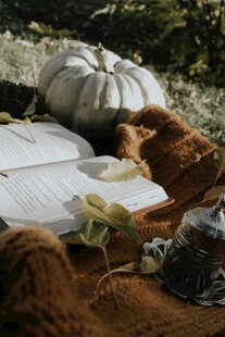 秋日户外野餐布置场景