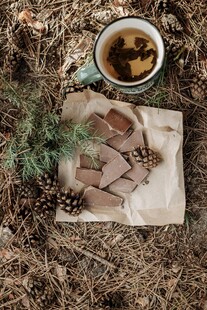 户外野餐休憩的惬意时光