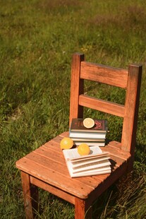 草地上木椅上的书籍水果