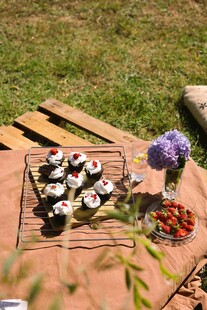 户外野餐的美味寿司拼盘