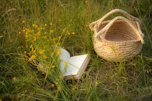草地上的书与编织篮