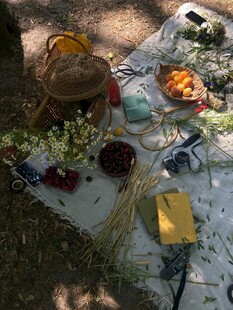 户外野餐场景布置