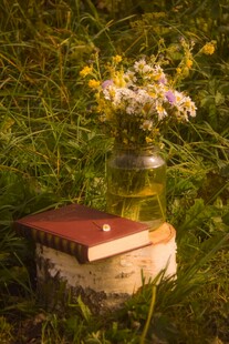 草地上的书与鲜花花瓶