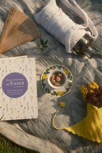 户外野餐布置与休闲物品