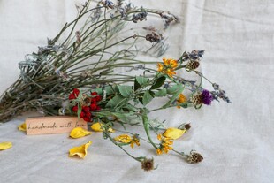 枯萎干花见证时光痕迹