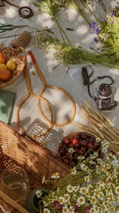 户外野餐场景布置精美