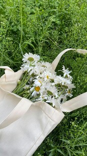 白色布袋中盛放的小雏菊