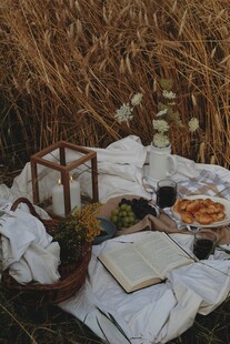 秋日田野中的惬意野餐