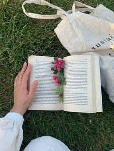 草地上的惬意阅读时光