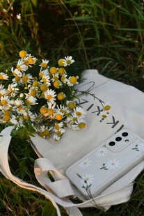 草地上的雏菊与白色背包