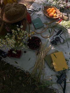 户外野餐场景布置