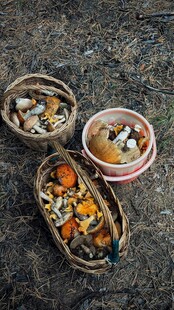 三个木碗装多彩食物