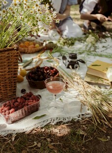 户外野餐场景布置