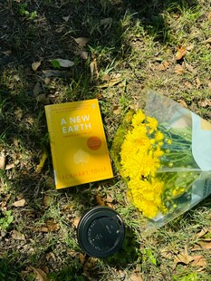 户外野餐布置与鲜花