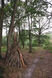 林间小径旁的柴垛