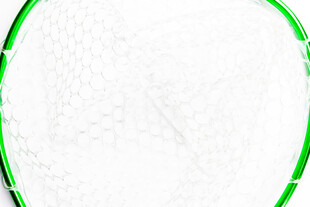 绿色边框白色背景图