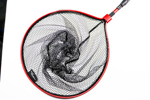 个性龙纹羽毛球拍