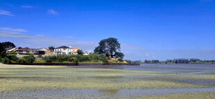 奥克兰海边小镇风景