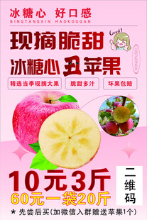 现摘苹果  冰糖心丑苹果