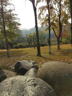 秋日林间大石风景图