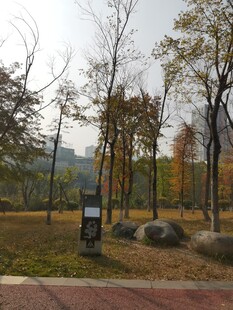 秋日公园静谧景致