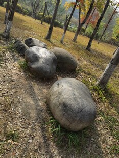 户外草地的圆形石墩景观