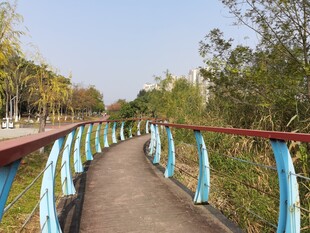 秋日公园中的多彩步道