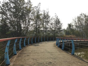 乡间蓝栏杆小道风景