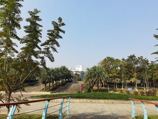公园开阔美景