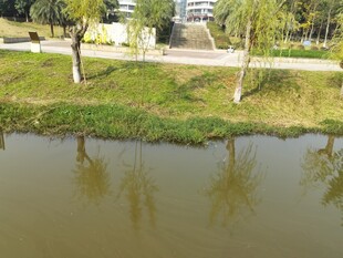 河畔绿树环绕的宁静景致