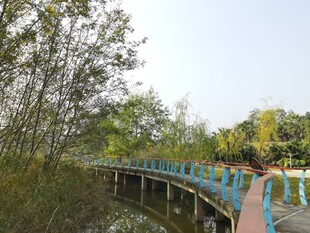 河畔彩色栈道风景如画