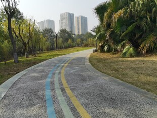 城市中的多彩林荫骑行道