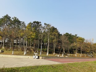 秋日公园休闲景致