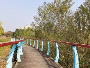 彩色栏杆的林间步道