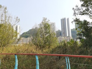 城郊风景围栏外的城市与自然